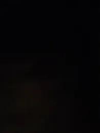 immagine stream di MildStem
