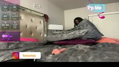 tsmyafoxx webcam stripchat model stream image