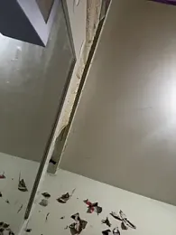 immagine stream di AmbarFoxx_