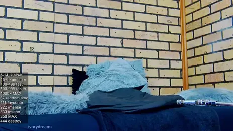 IvoryDreams webcam preview