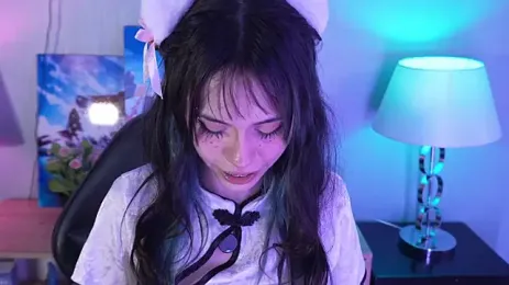 immagine stream di kitticam