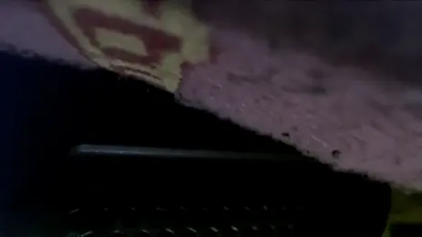 immagine stream di DREshots