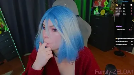 zelda_1 webcam preview