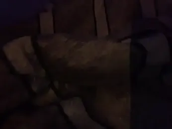 immagine stream di BWCJUICYJOSH